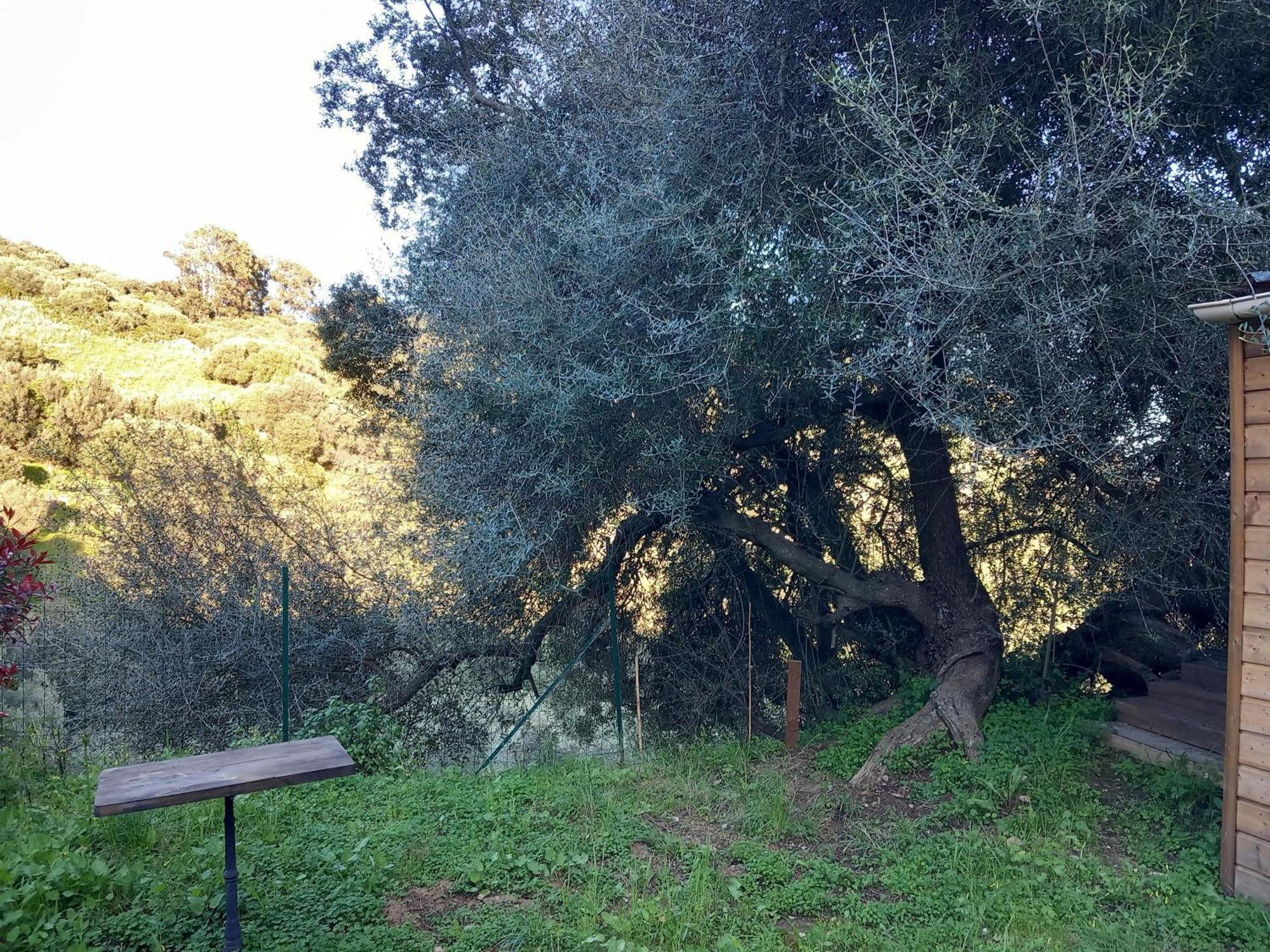 Villa A Croce Alata Екстериор снимка