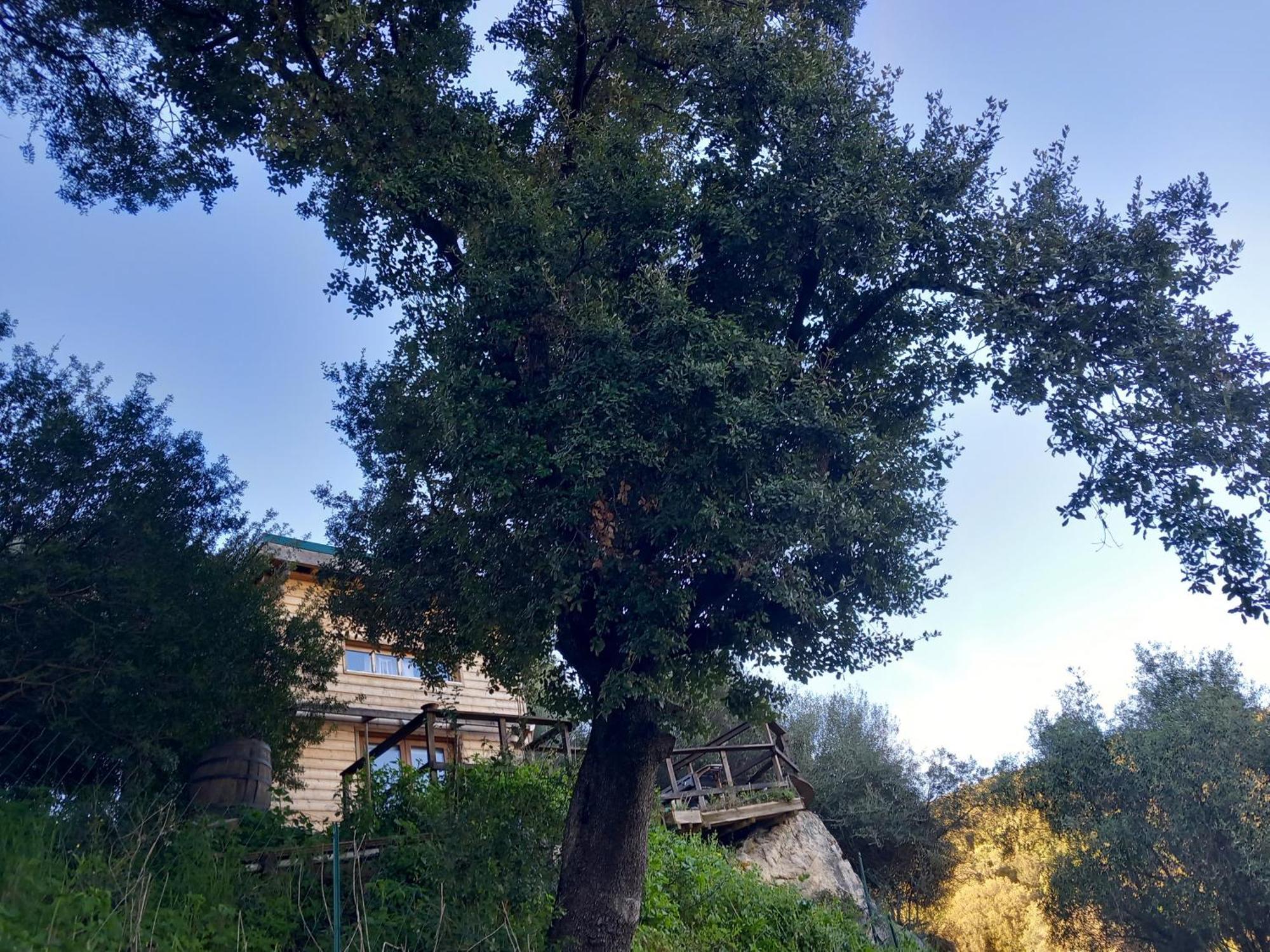 Villa A Croce Alata Екстериор снимка